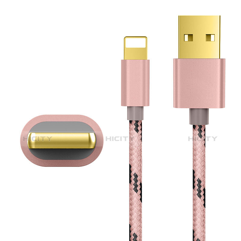 Chargeur Cable Data Synchro Cable L01 pour Apple iPad 10.2 (2020) Or Rose Plus