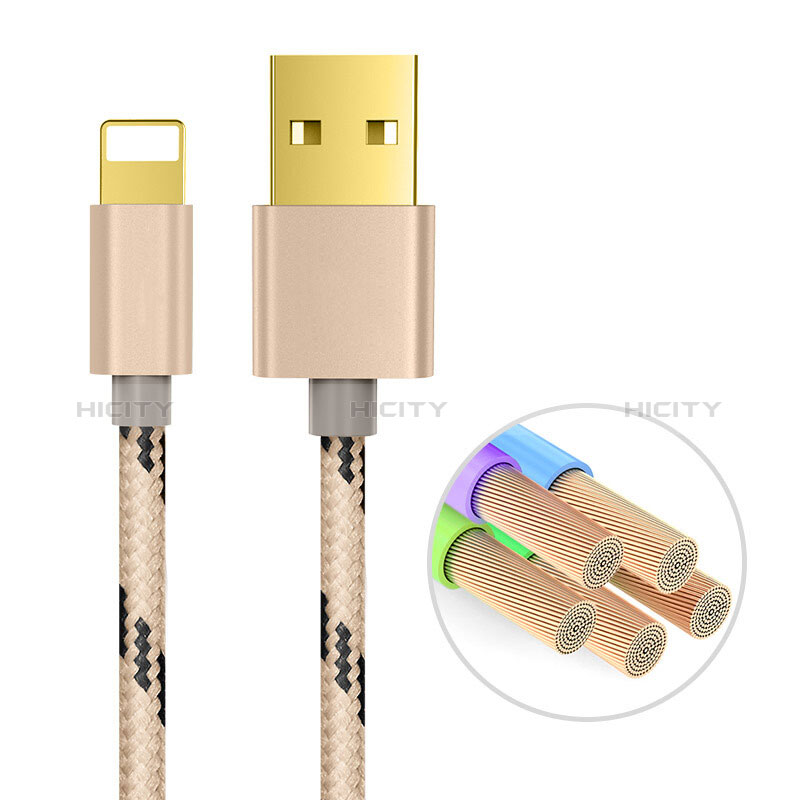 Chargeur Cable Data Synchro Cable L01 pour Apple New iPad 9.7 (2017) Or Plus