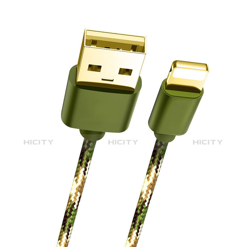 Chargeur Cable Data Synchro Cable L03 pour Apple iPad 10.2 (2020) Vert Plus