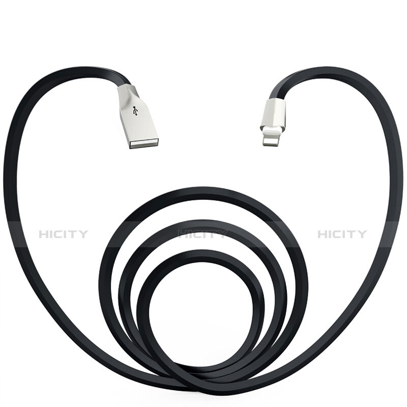 Chargeur Cable Data Synchro Cable L06 pour Apple iPad 10.2 (2020) Noir Plus