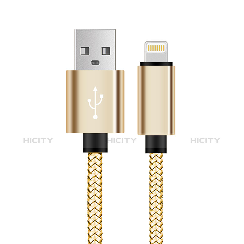 Chargeur Cable Data Synchro Cable L07 pour Apple iPad Mini 5 (2019) Or Plus