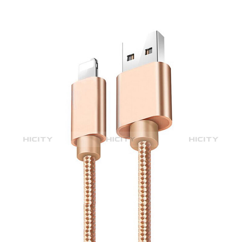 Chargeur Cable Data Synchro Cable L08 pour Apple iPad 10.2 (2020) Or Plus