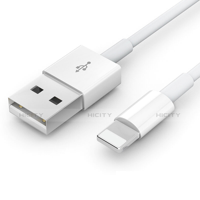 Chargeur Cable Data Synchro Cable L09 pour Apple iPad 10.2 (2020) Blanc Plus