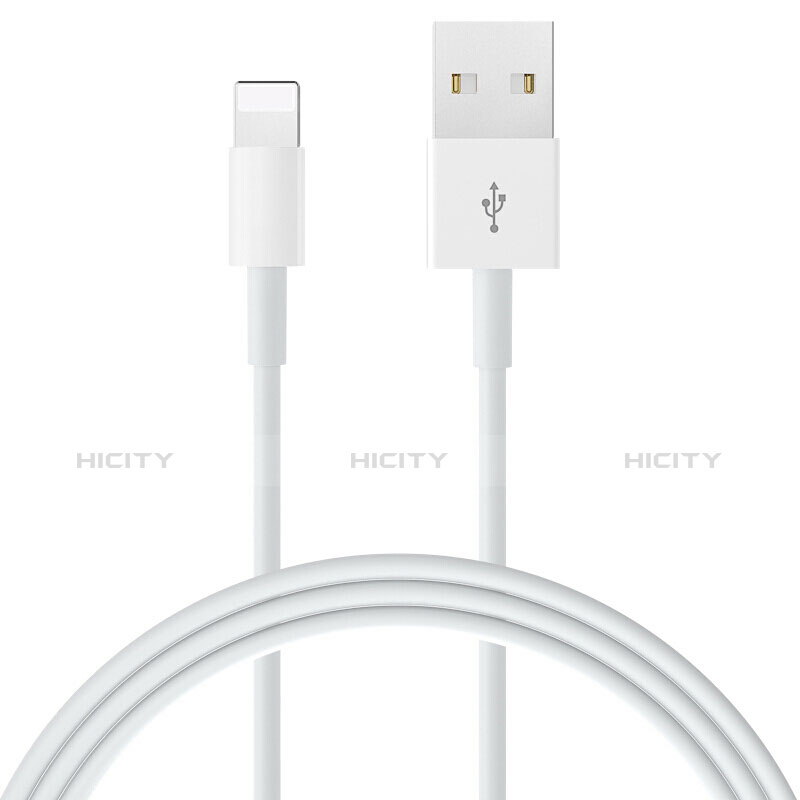 Chargeur Cable Data Synchro Cable L09 pour Apple iPad Air 2 Blanc Plus