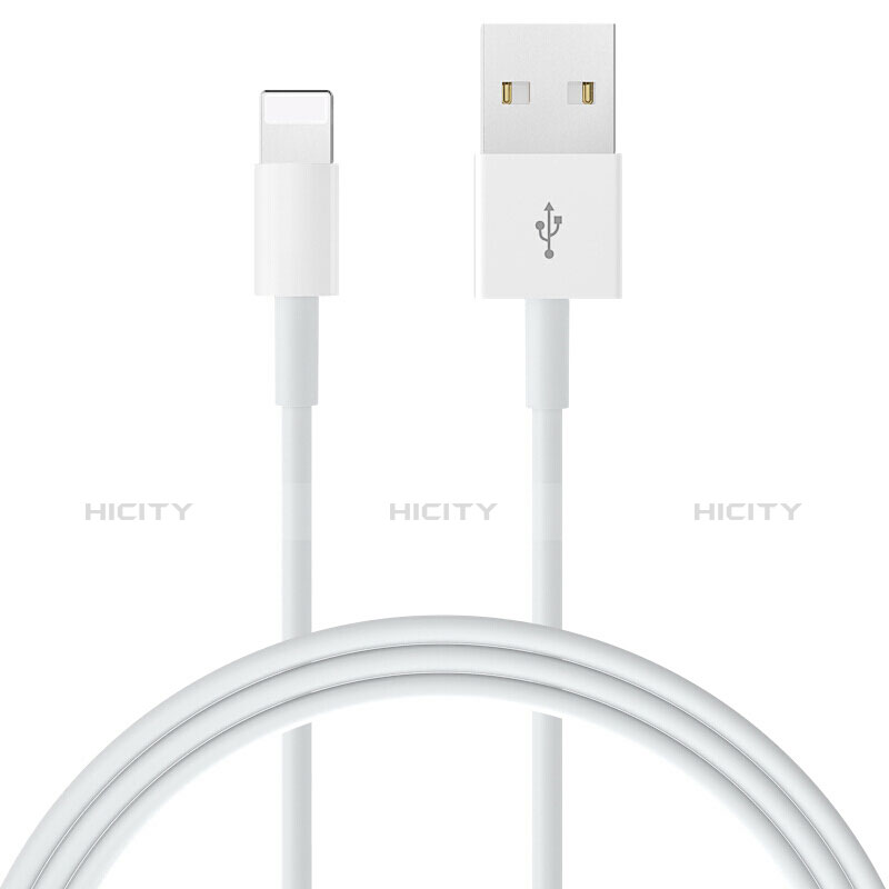 Chargeur Cable Data Synchro Cable L09 pour Apple iPad Mini 5 (2019) Blanc Plus