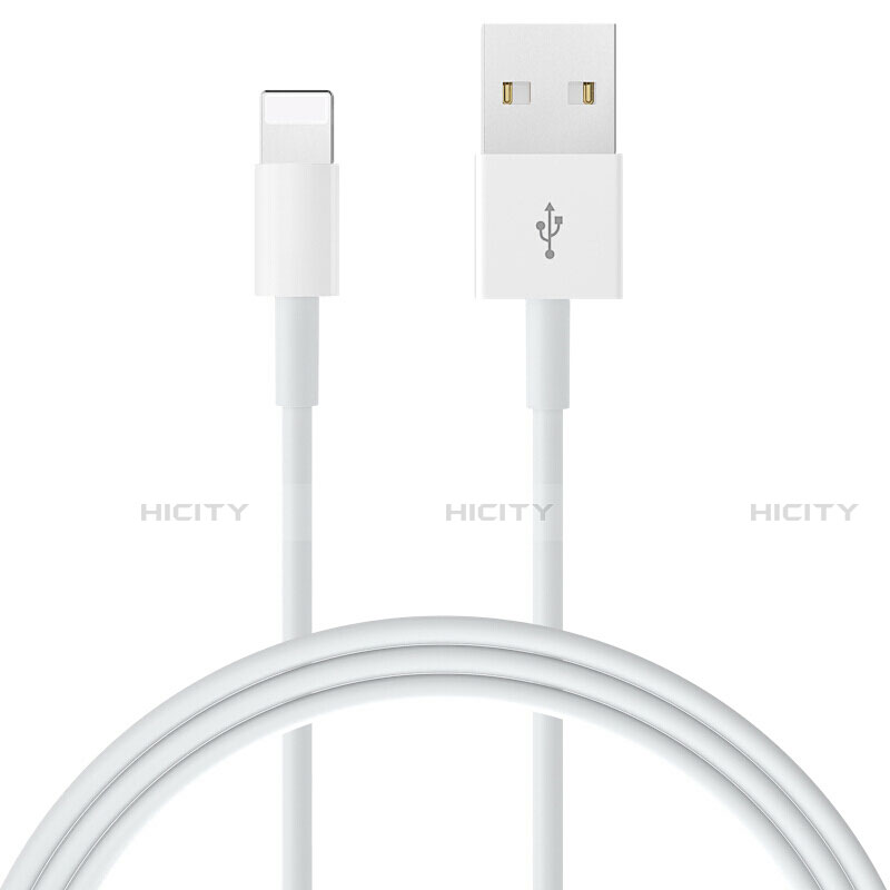 Chargeur Cable Data Synchro Cable L09 pour Apple iPhone 12 Mini Blanc Plus