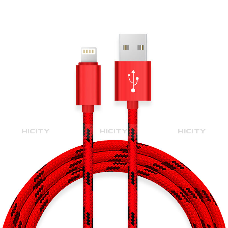 Chargeur Cable Data Synchro Cable L10 pour Apple iPad 10.2 (2020) Rouge Plus