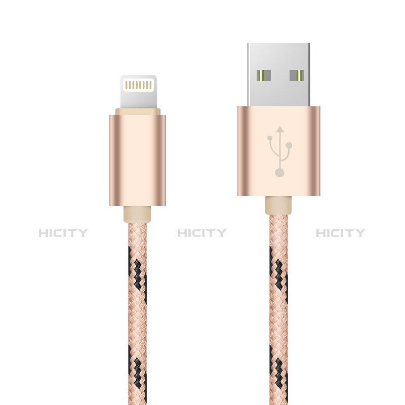 Chargeur Cable Data Synchro Cable L10 pour Apple iPad 4 Or Plus