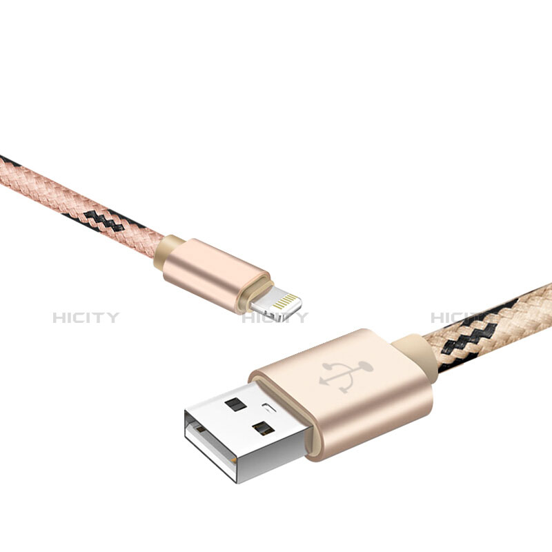 Chargeur Cable Data Synchro Cable L10 pour Apple iPad 4 Or Plus