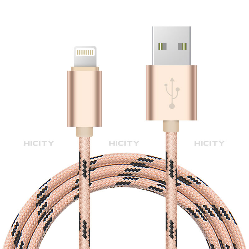 Chargeur Cable Data Synchro Cable L10 pour Apple iPad Air 10.9 (2020) Or Plus