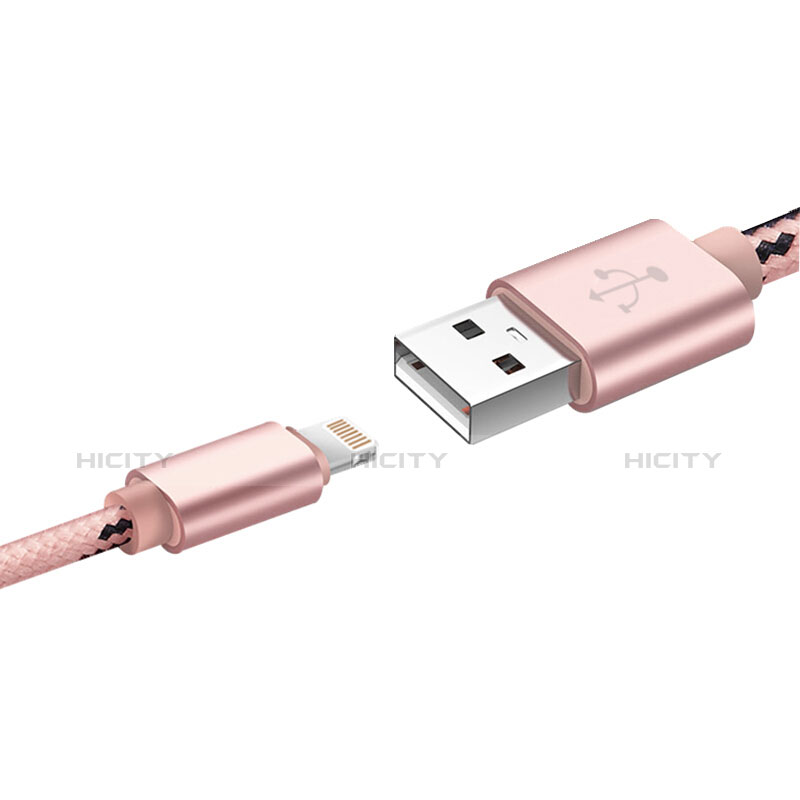 Chargeur Cable Data Synchro Cable L10 pour Apple iPad Air 2 Rose Plus