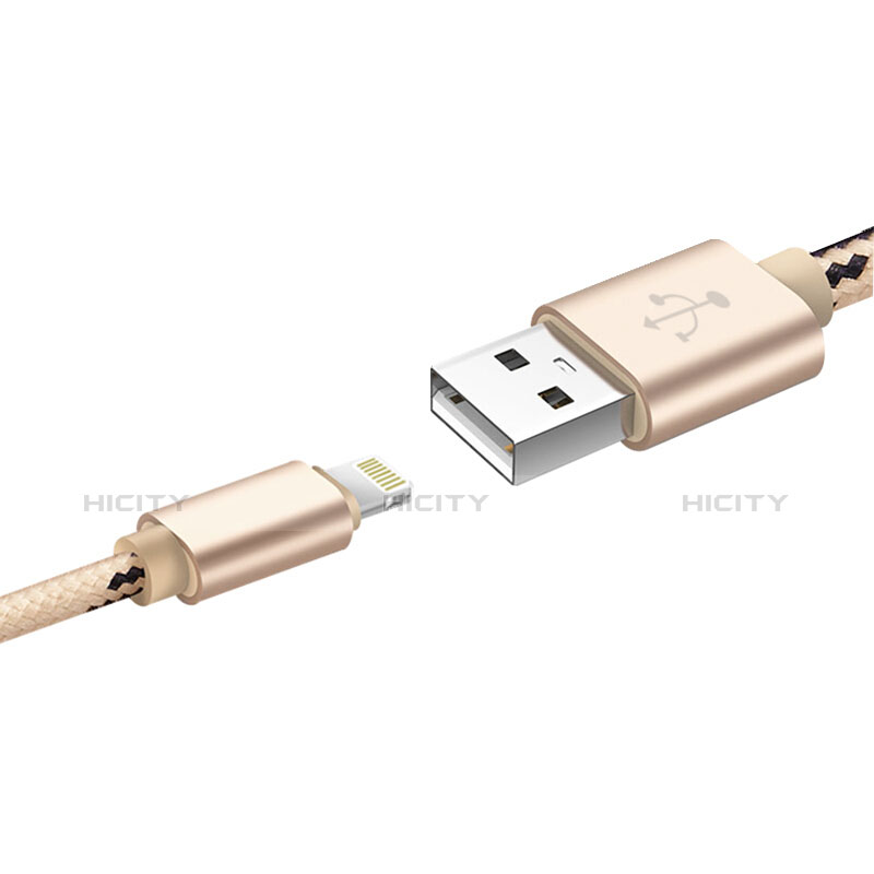 Chargeur Cable Data Synchro Cable L10 pour Apple iPad Pro 12.9 (2018) Or Plus