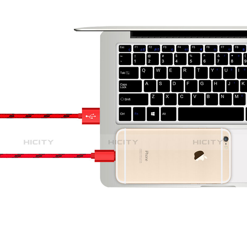 Chargeur Cable Data Synchro Cable L10 pour Apple iPad Pro 12.9 (2018) Rouge Plus