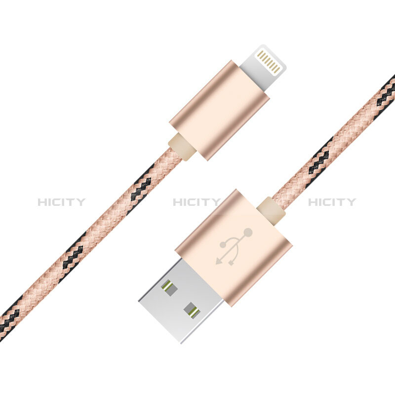 Chargeur Cable Data Synchro Cable L10 pour Apple New iPad 9.7 (2017) Or Plus