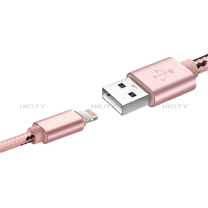 Chargeur Cable Data Synchro Cable L10 pour Apple New iPad 9.7 (2017) Rose Plus