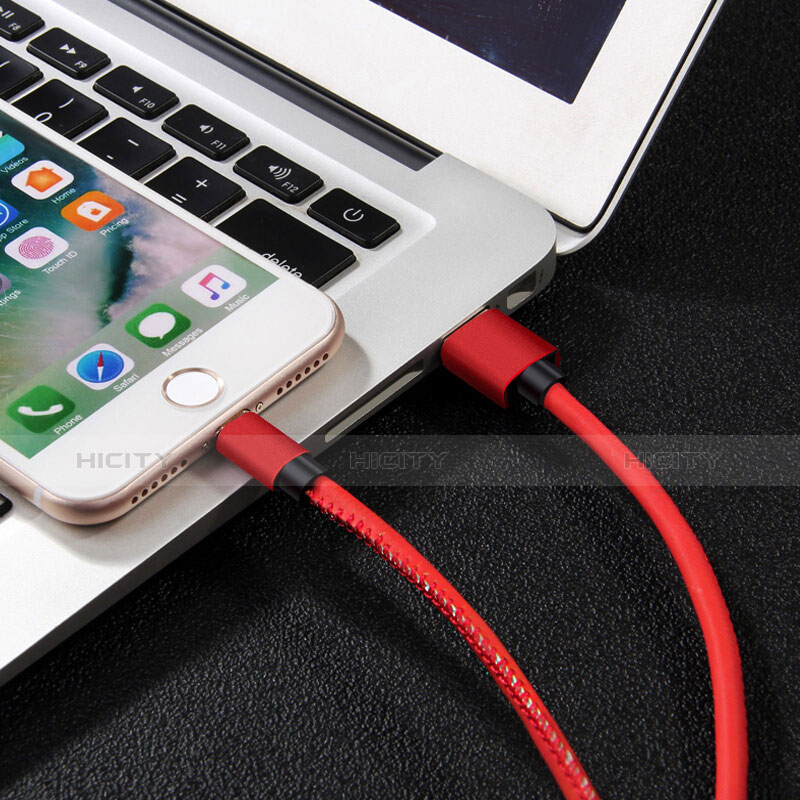 Chargeur Cable Data Synchro Cable L11 pour Apple iPad 10.2 (2020) Rouge Plus