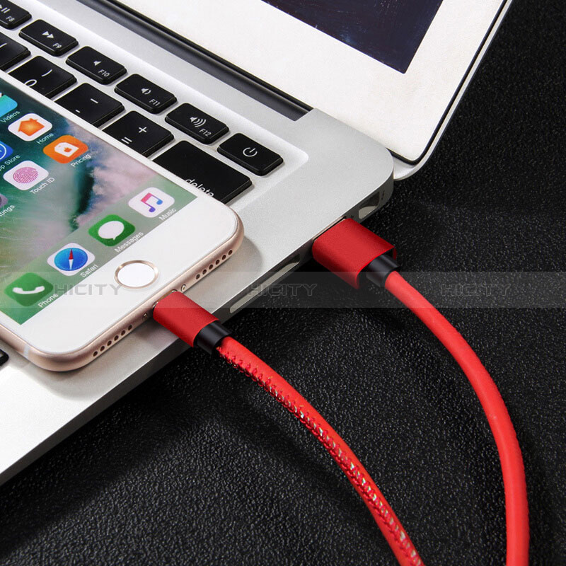 Chargeur Cable Data Synchro Cable L11 pour Apple New iPad 9.7 (2017) Rouge Plus