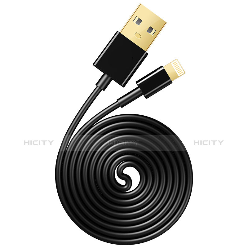 Chargeur Cable Data Synchro Cable L12 pour Apple iPad 10.2 (2020) Noir Plus