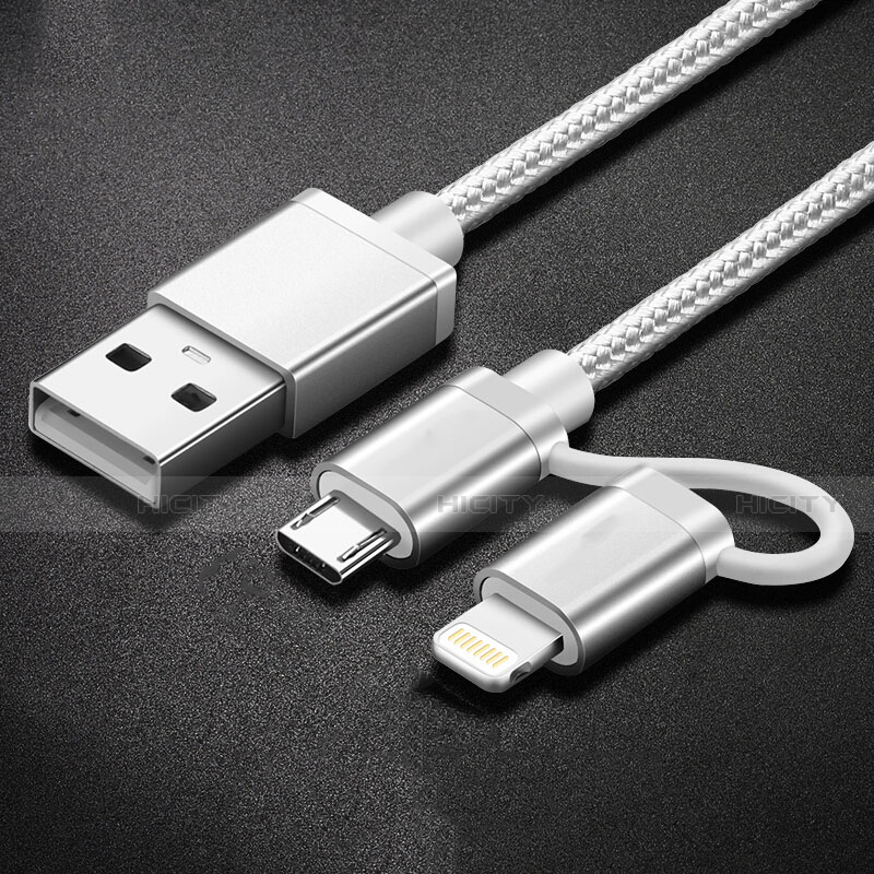 Chargeur Lightning Cable Data Synchro Cable Android Micro USB C01 pour Apple iPad Air 10.9 (2020) Argent Plus