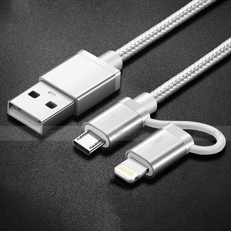 Chargeur Lightning Cable Data Synchro Cable Android Micro USB C01 pour Apple iPhone XR Argent Plus