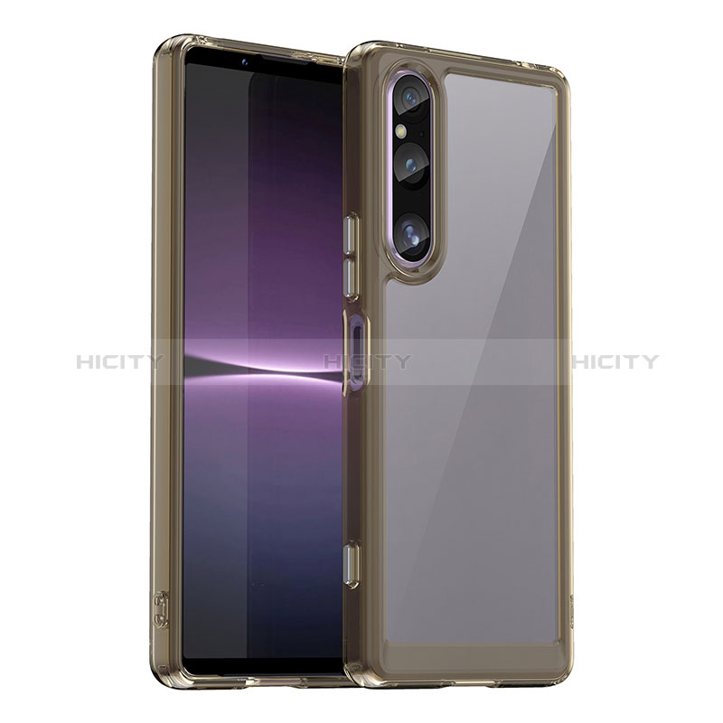 Coque Rebord Contour Silicone et Vitre Transparente Housse Etui J01S pour Sony Xperia 1 V Gris Plus