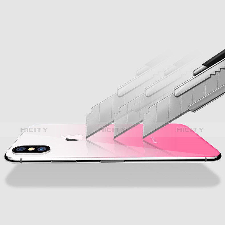 Film Protection Protecteur Arriere Degrade pour Apple iPhone Xs Max Rose Plus